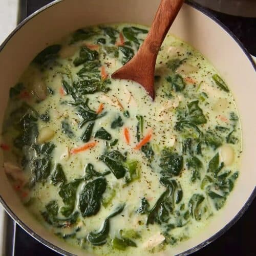 chicken gnocchi soup