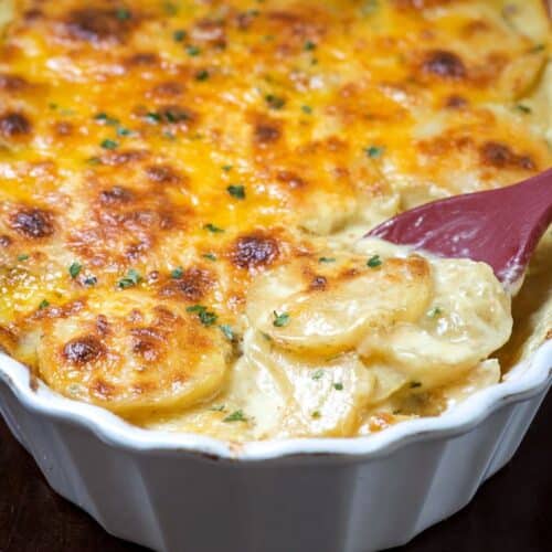 scalloped potatoes