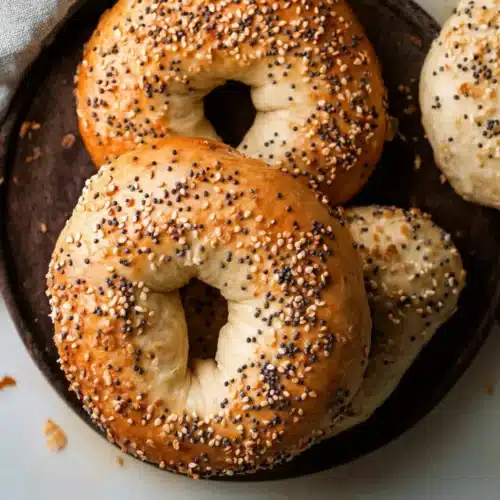 protein bagels