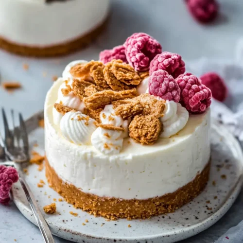 japanese yogurt cheesecake